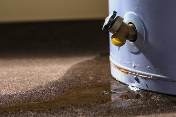 Best Local water damage restoration  in Whitesboro, NJ