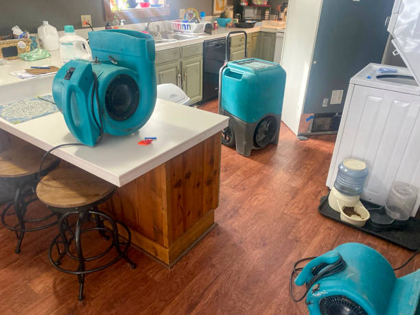 Best Water damage mitigation services  in Whitesboro, NJ