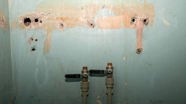Best Water damage restoration near me  in Whitesboro, NJ