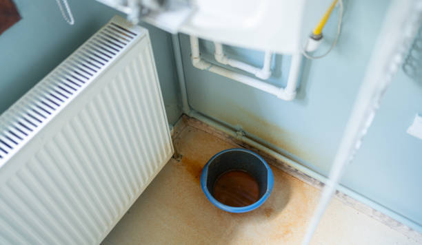 Best Flood damage cleanup  in Whitesboro, NJ